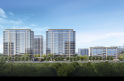 保利大校场G02地块定案名&ldquo;保利招商文璟和颂&rdquo;