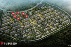 绿城云栖玫瑰园新领A地块9、10、16-19号楼销许，均价33000元/㎡